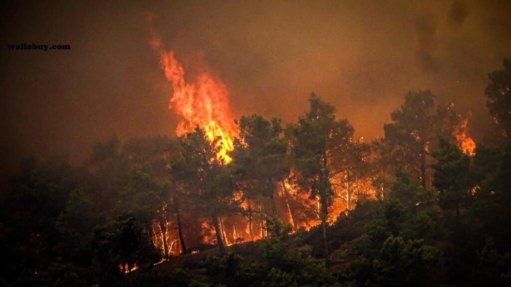 ทีมงานยุโรป ร่วมต่อสู้กับไฟป่าในกรีซ เครื่องบินทิ้งน้ำจากหลายประเทศในยุโรปเข้าร่วมกับนักดับเพลิงหลายร้อยคนเมื่อวันพุธเพื่อต่อสู้กับไฟป่า